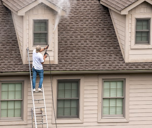 Expert Property Management Services services provided by Super Green.